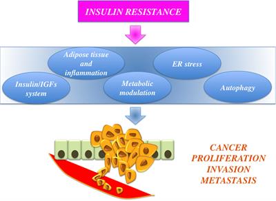 PPAR-γ Agonists As Antineoplastic Agents in Cancers with Dysregulated IGF Axis